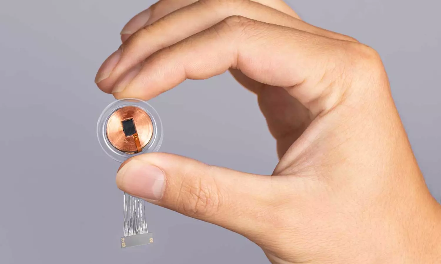 Elon Musks Neuralink faces backlash and federal investigation over animal tests