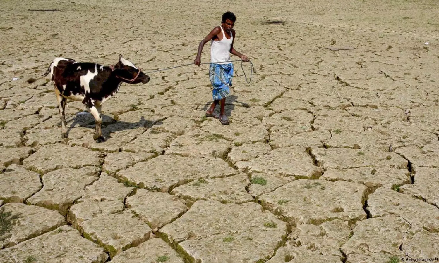 India on verge of devastating heatwaves beyond human survival: World Bank report