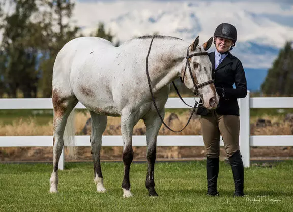 Blind horse from Oregon creates three world records