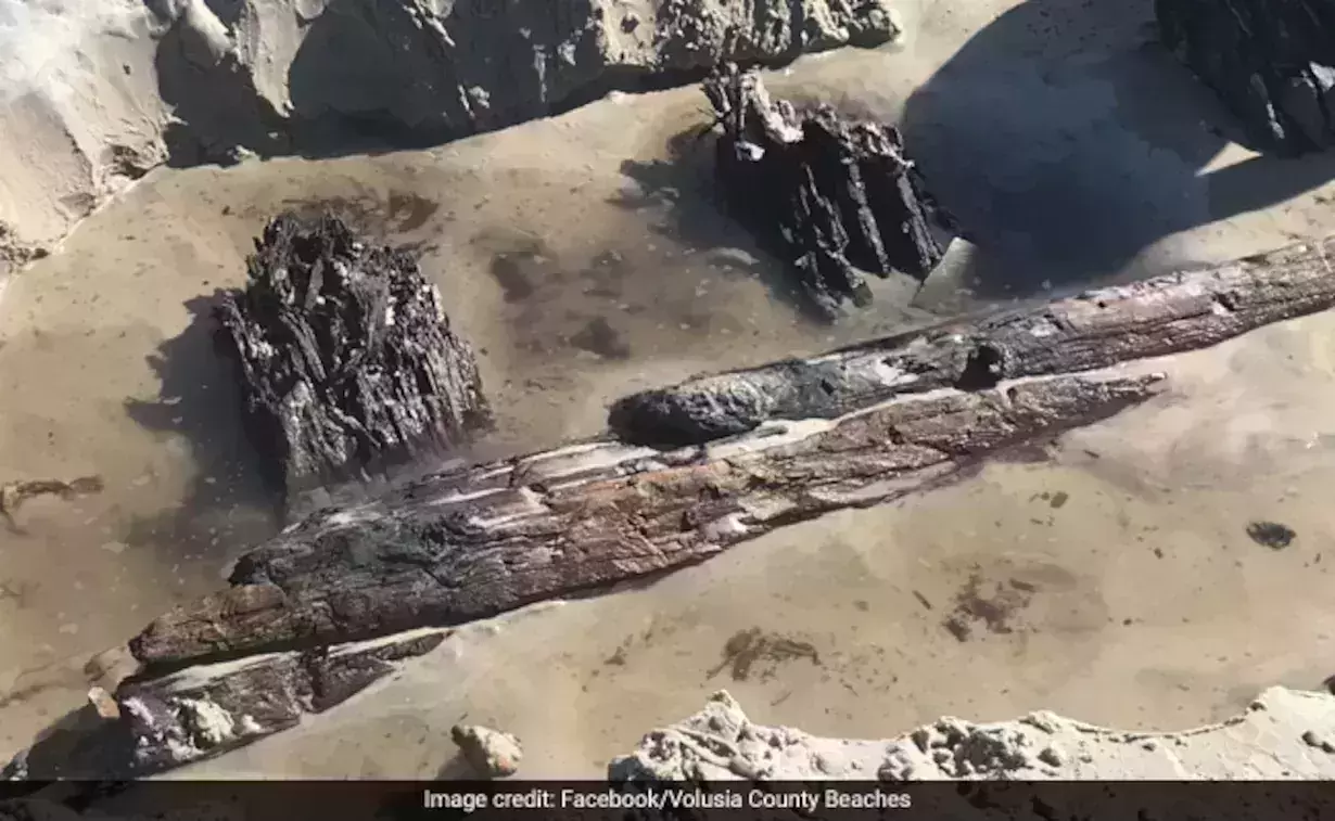 Mysterious giant object found on Florida beach, Officials clueless