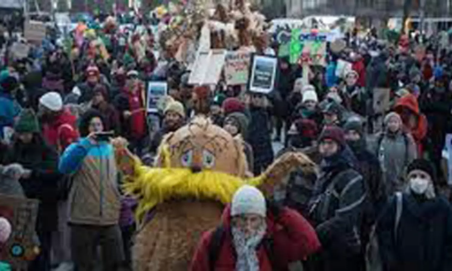Trees, birds take out rally at biodiversity summit in Montreal: report