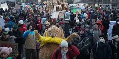 Trees, birds take out rally at biodiversity summit in Montreal: report Trees, birds take out rally at biodiversity summit in Montreal: report