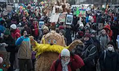 Trees, birds take out rally at biodiversity summit in Montreal: report