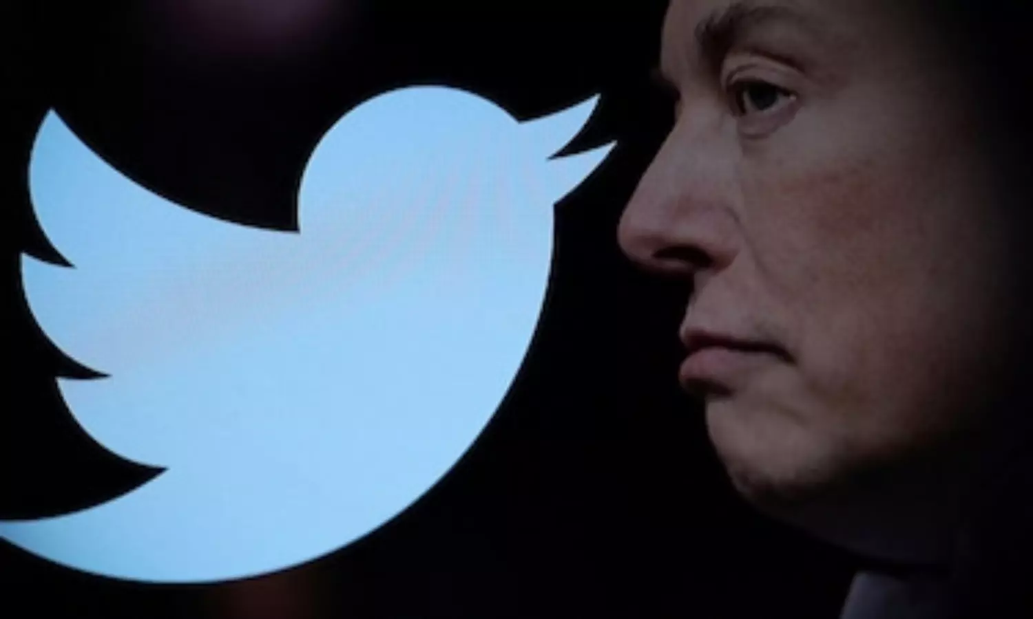 Musk announces more expensive subscription for ad-free Twitter