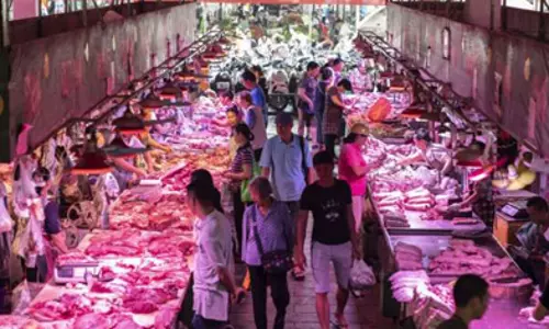 Share the covid data, conduct studies: WHO tells China, amid fresh revelations on covid origin