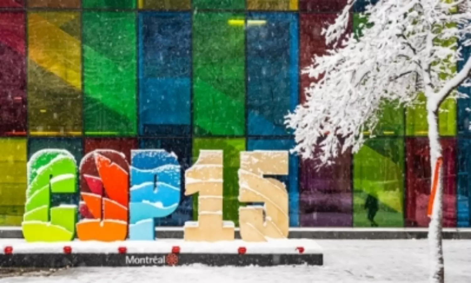 COP15 pact significant breakthrough for biodiversity: GEF CEO