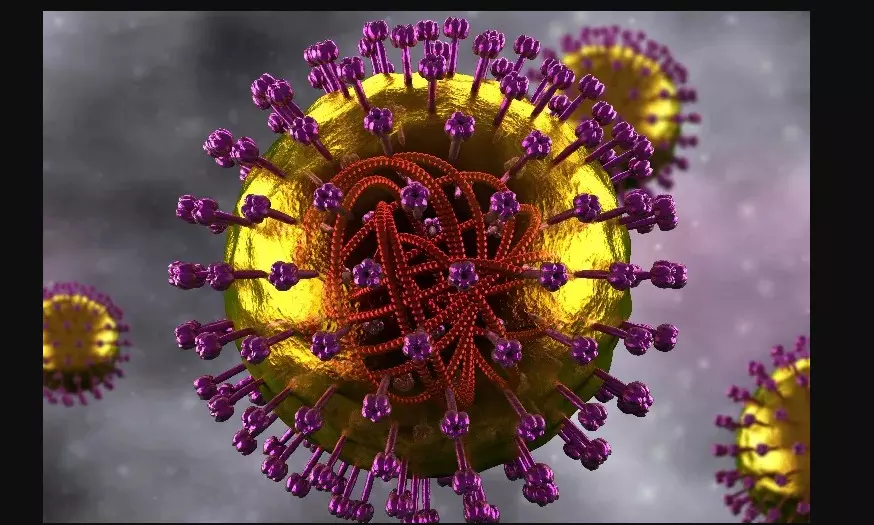 After Malappuram, Keralas Kozhikode reports fresh measles cases