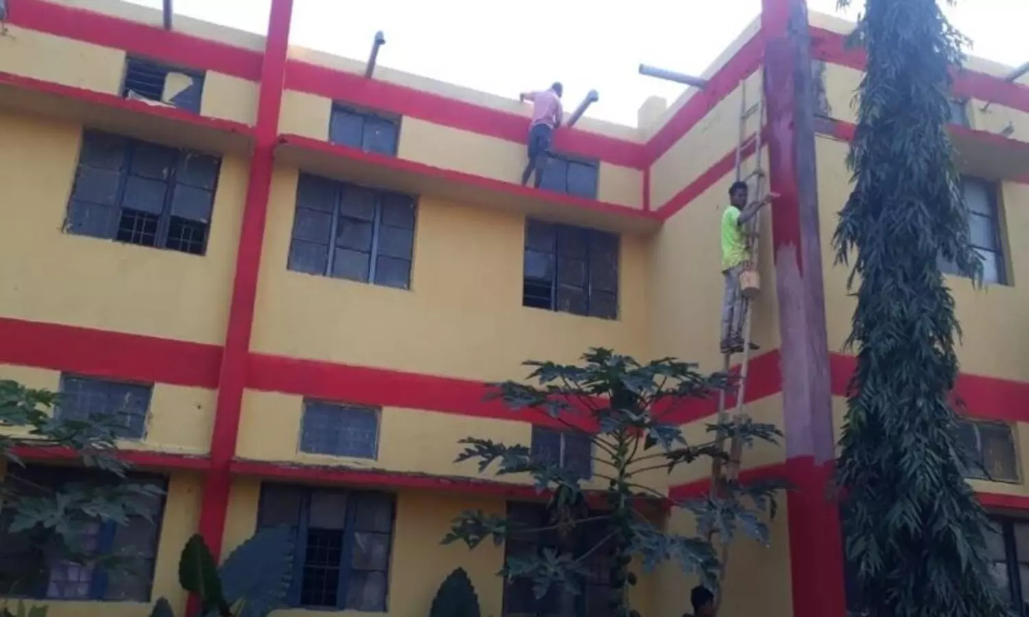 Chhattisgarh govt to use cow dung made paints for buildings