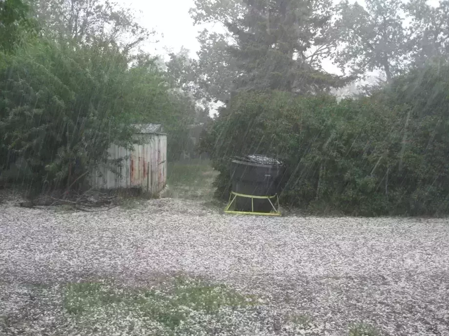 Hailstorm hits Assam hard, Over 200 houses damaged