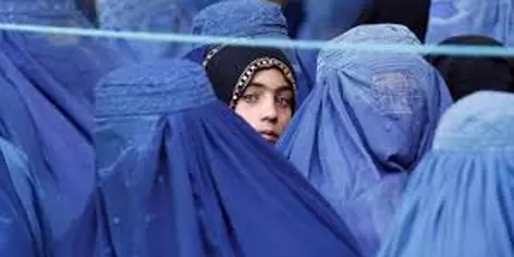 Afghan professor destroys certificates on live TV, protesting ban on women’s education Afghan professor destroys certificates on live TV, protesting ban on women’s education