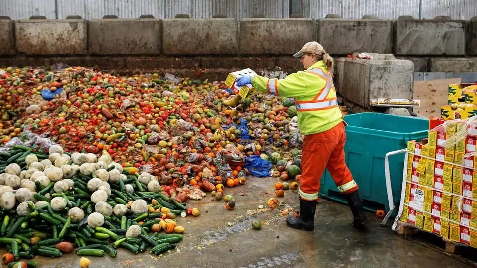 One billion tonnes of food wasted globally every year: report