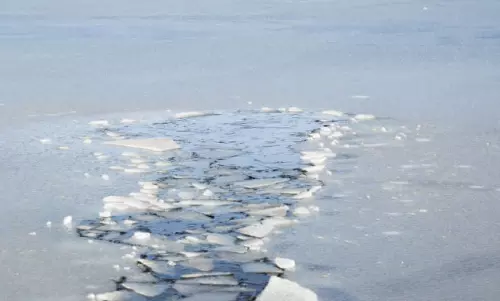 Three Indian-Americans die after falling into a frozen lake in Arizona