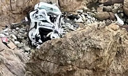 Indian-origin US man drives tesla off cliff to kill wife, kids: cops