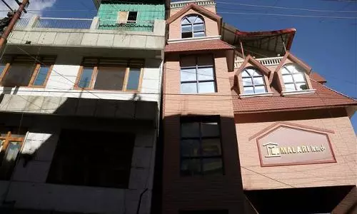 Joshimath hotel owners protest at abrupt demolition move, demand one-time settlement