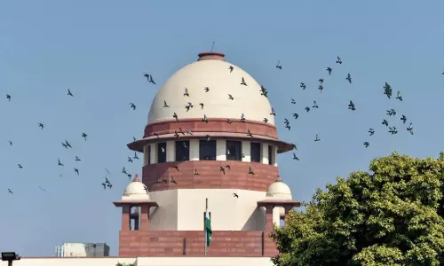 Many roles for the sake of food: SC rips news channels over hate speech