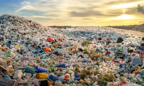 Scientists create recyclable, not-from-crude-oil plastic
