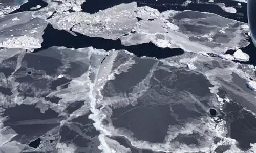 Antarctic glaciers show seasonal behaviour, flows faster in summer: Study
