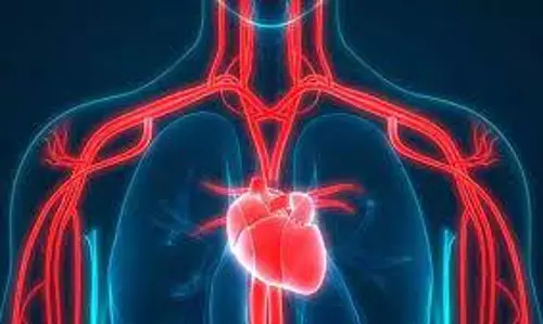 heart health