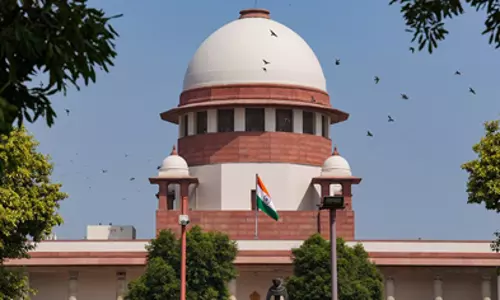 When marriage void, cruelty charge against husband, family not sustainable: SC