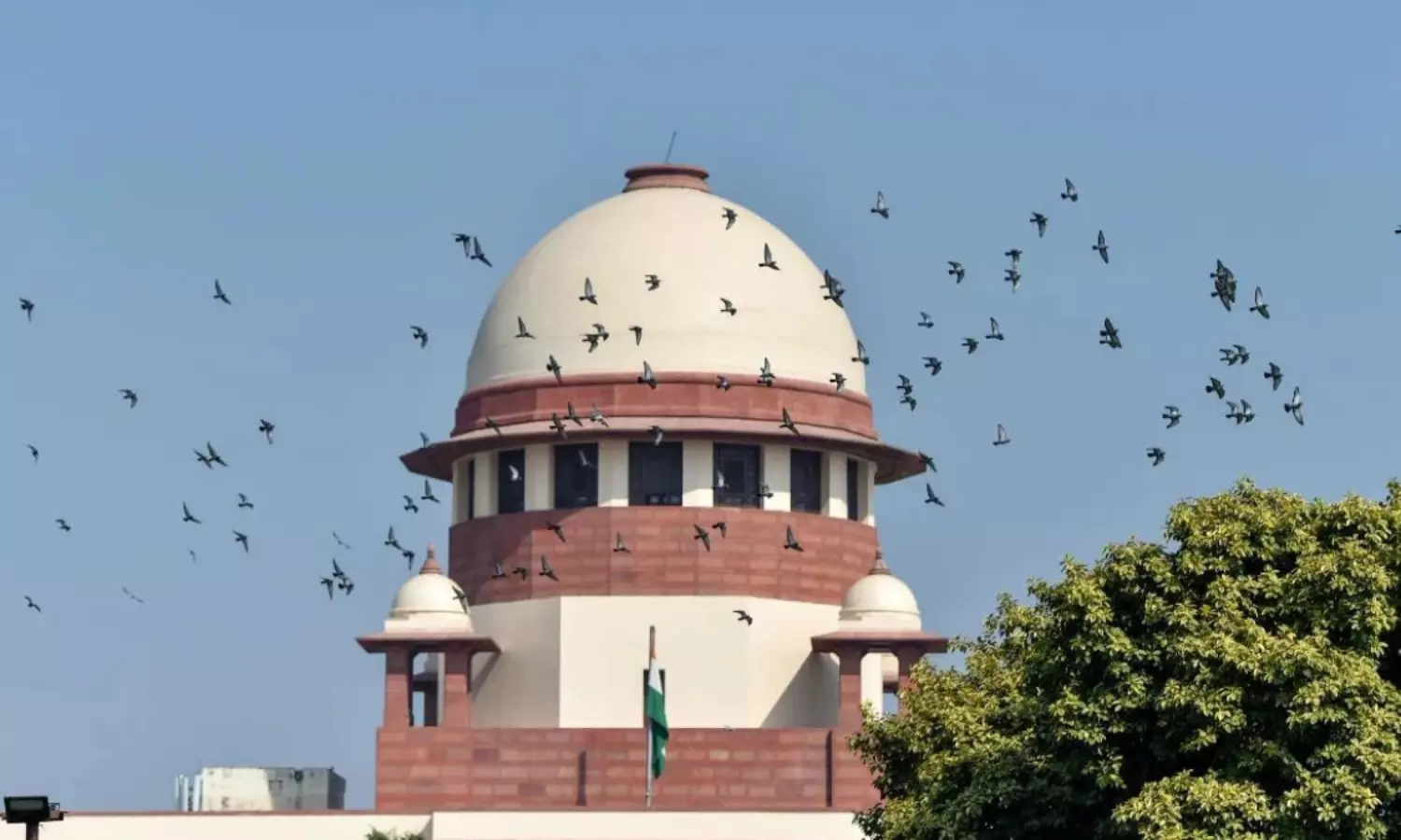 Hate is a common enemy but everything is not hate speech: SC