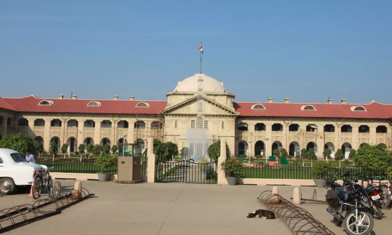 Live-in Relationships Not Accepted in Indian Society, Difficult for Women to Live Alone After Breakup: Allahabad HC