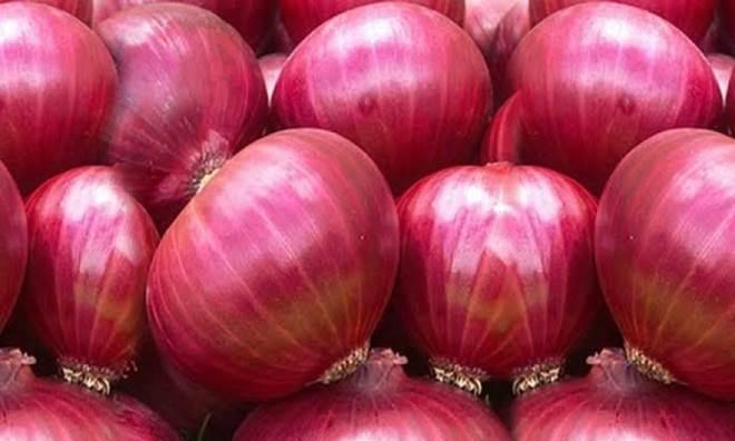 onion