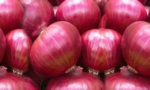 Drying Danube and onion causing tears