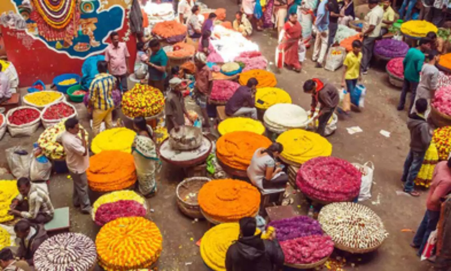 India’s economy losing speed as rising rates hit demand: report