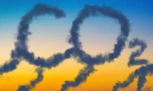 Global emissions of CO2 in 2022 rose less than originally feared: IEA