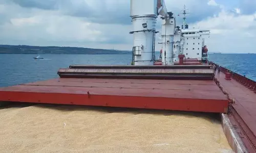 Working on extending UN-brokered grain export from Ukraine: Turkey