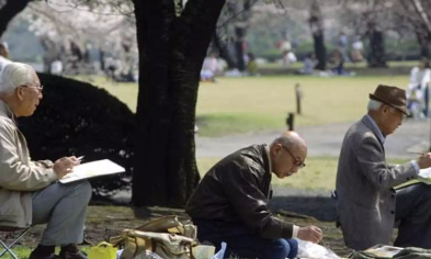 ‘If we go on like this, the country will disappear’: Japan prime minister’s aide