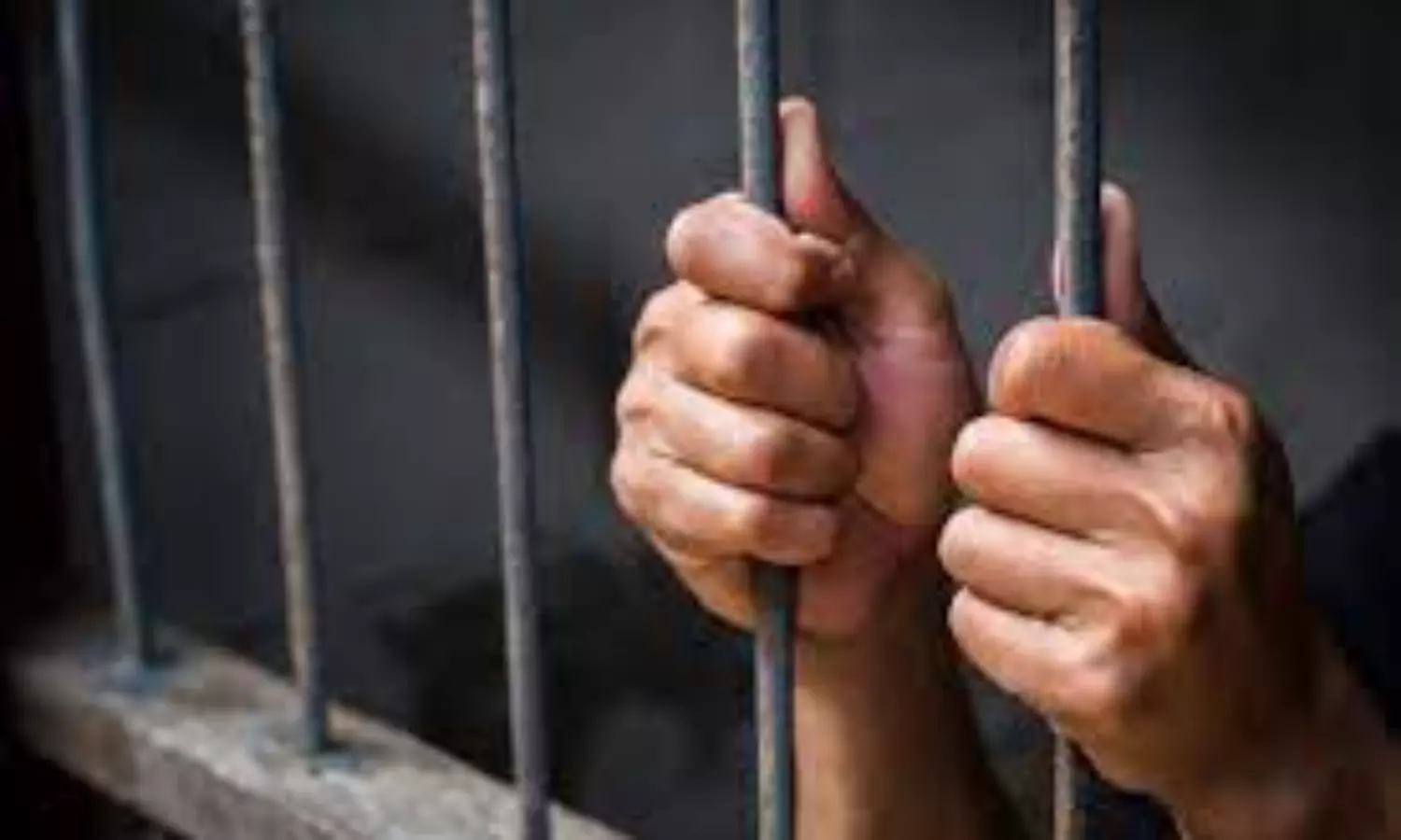 Punjab & Haryana HC orders application of mind in adding UAPA charges