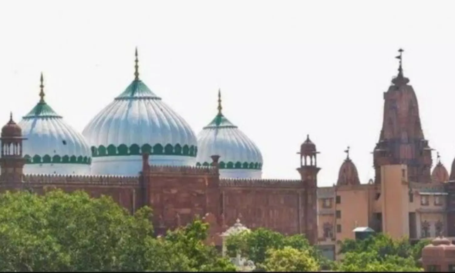 HC gives 10 days to respondents to file reply in plea seeking transfer of suit in Krishna Janmabhoomi case