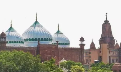 HC gives 10 days to respondents to file reply in plea seeking transfer of suit in Krishna Janmabhoomi case