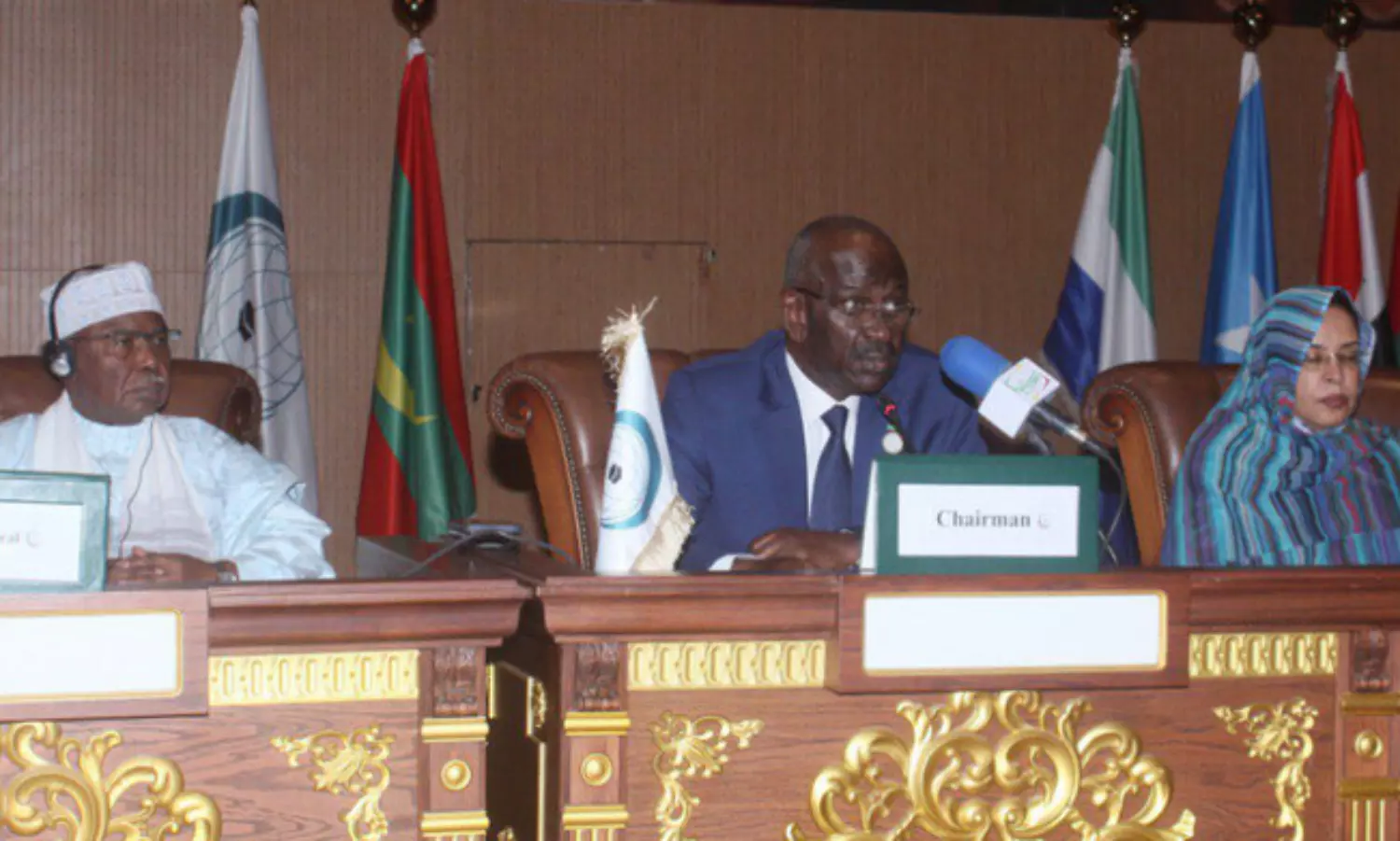 OIC hosts special session on International Day to combat Islamophobia