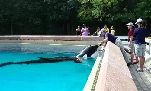 Kiska