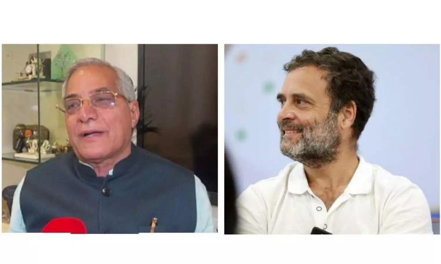 Conspiracy within Congress to sacrifice Rahul Gandhi: BJP leader