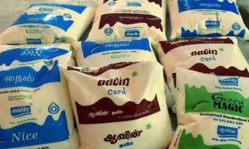 FSSAI’s move to rename curd packets as Dahi opposed by Tamil Nadu