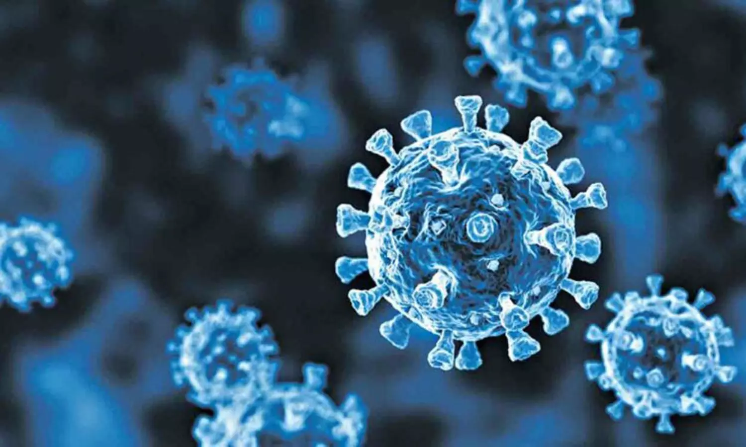 XBB.1.16 variant not lethal but highly contagious: expert