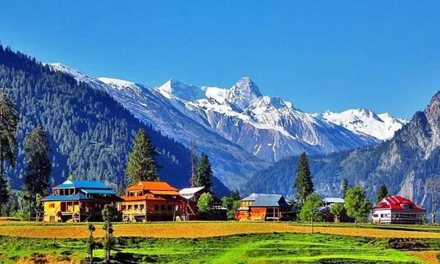 Kashmir