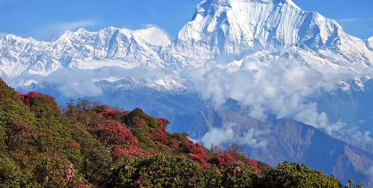 Himalayas lost glaciers the size of 570 million elephants