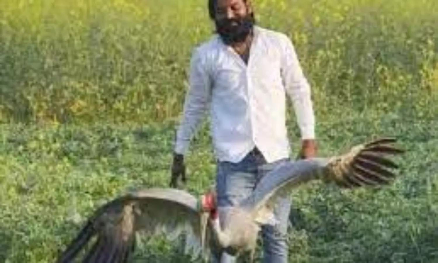 UP man requests authorities to free his winged friend from cage, internet melts