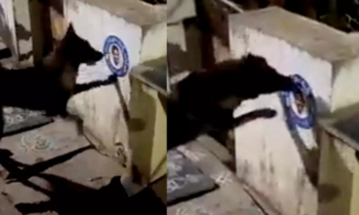 Video leads to dog being sued: TDP workers file case against dog for ripping Jagan’s poster