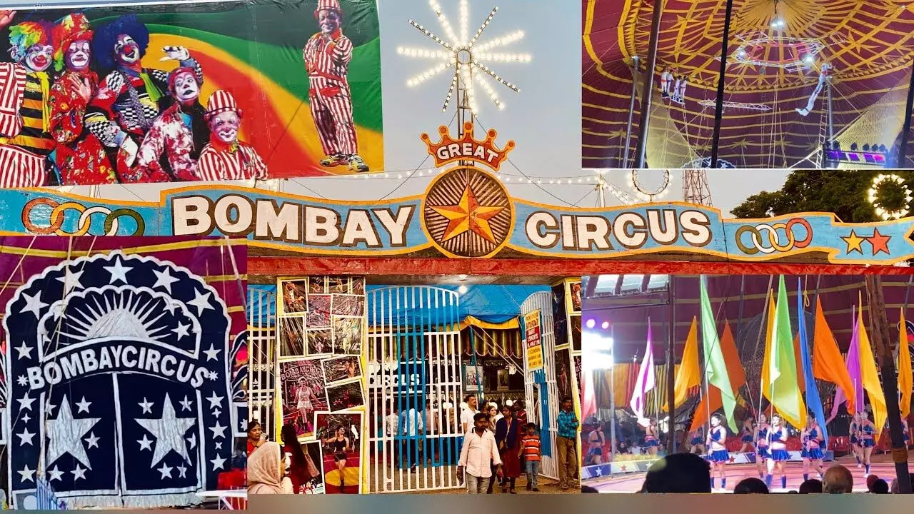 Kerala Police file FIR against Great Bombay Circus over cruelty towards performing birds
