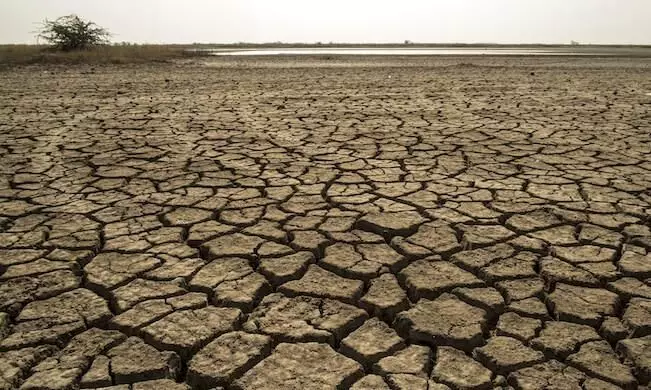 Acute heat waves will hurt Indias economy, development: report