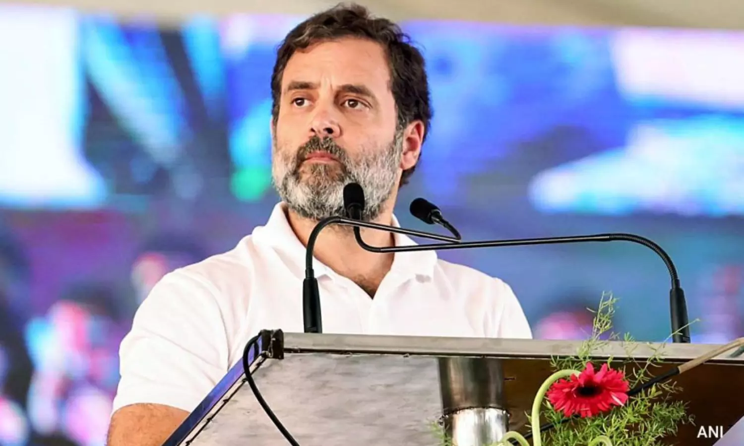 Defamation case: Rahul Gandhi files appeal in Gujarat HC against Surat sessions court order