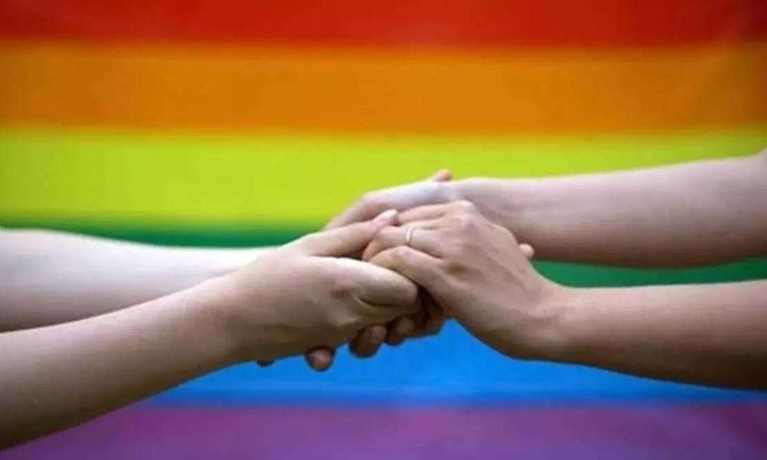 Judges must not rule in favour of same-sex marriages: Hindu seer