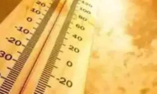 IMD sounds heatwave warning for Kerala in February