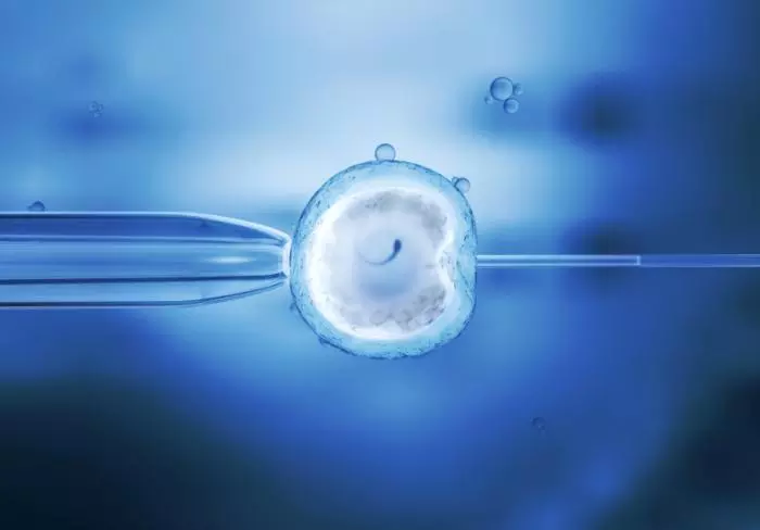 First baby with DNA from three people born in UK after novel IVF technique