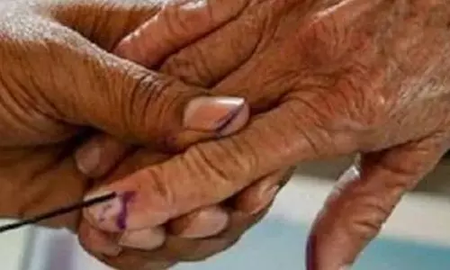 vote